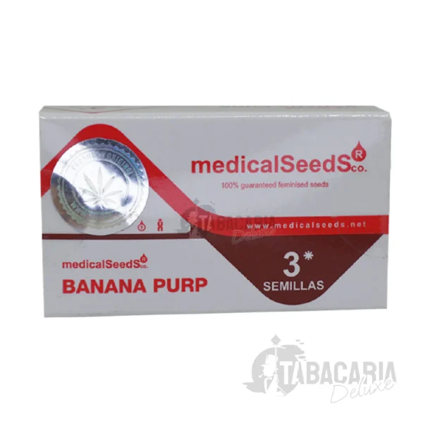 Banana Purp Fem Sementes de Maconha da Medical Seeds