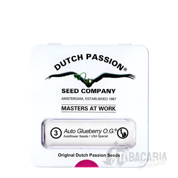 Auto Glueberry O.G. Sementes de Maconha da Dutch Passion