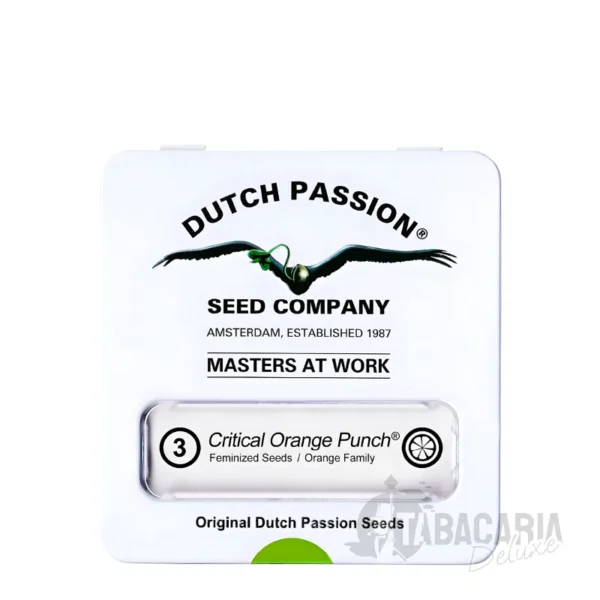 Sementes de Cannabis Critical Orange Punch da Dutch Passion